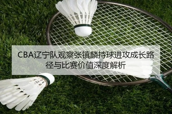 CBA辽宁队观察张镇麟持球进攻成长路径与比赛价值深度解析